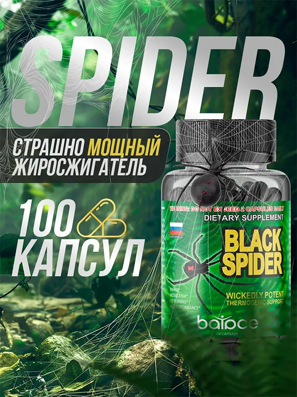 Black Spider
