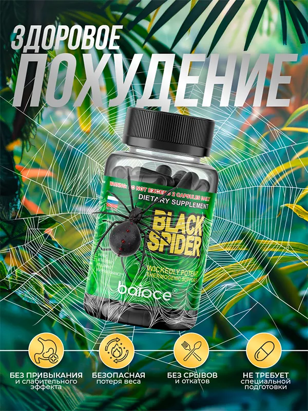 Black Spider