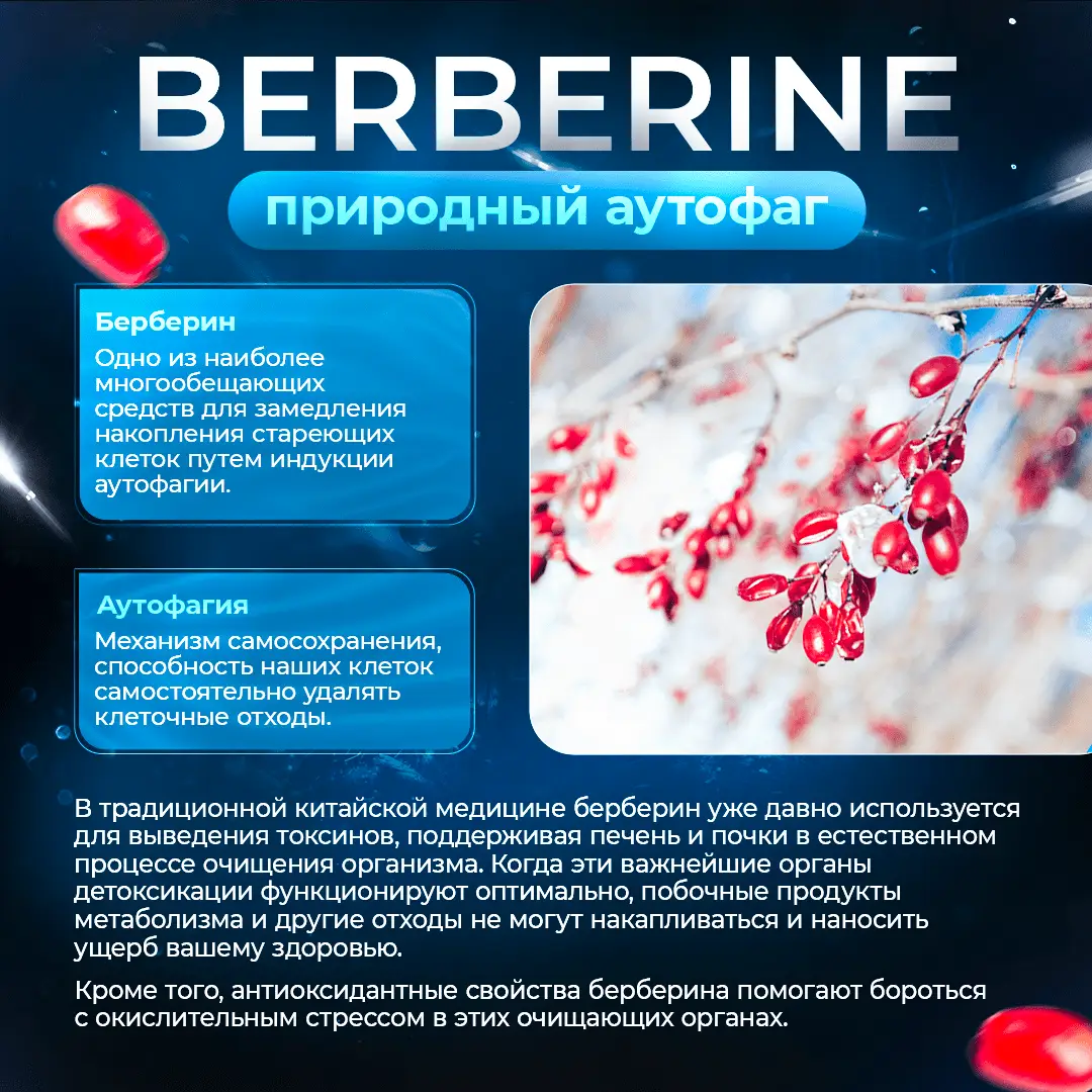 berberine-4