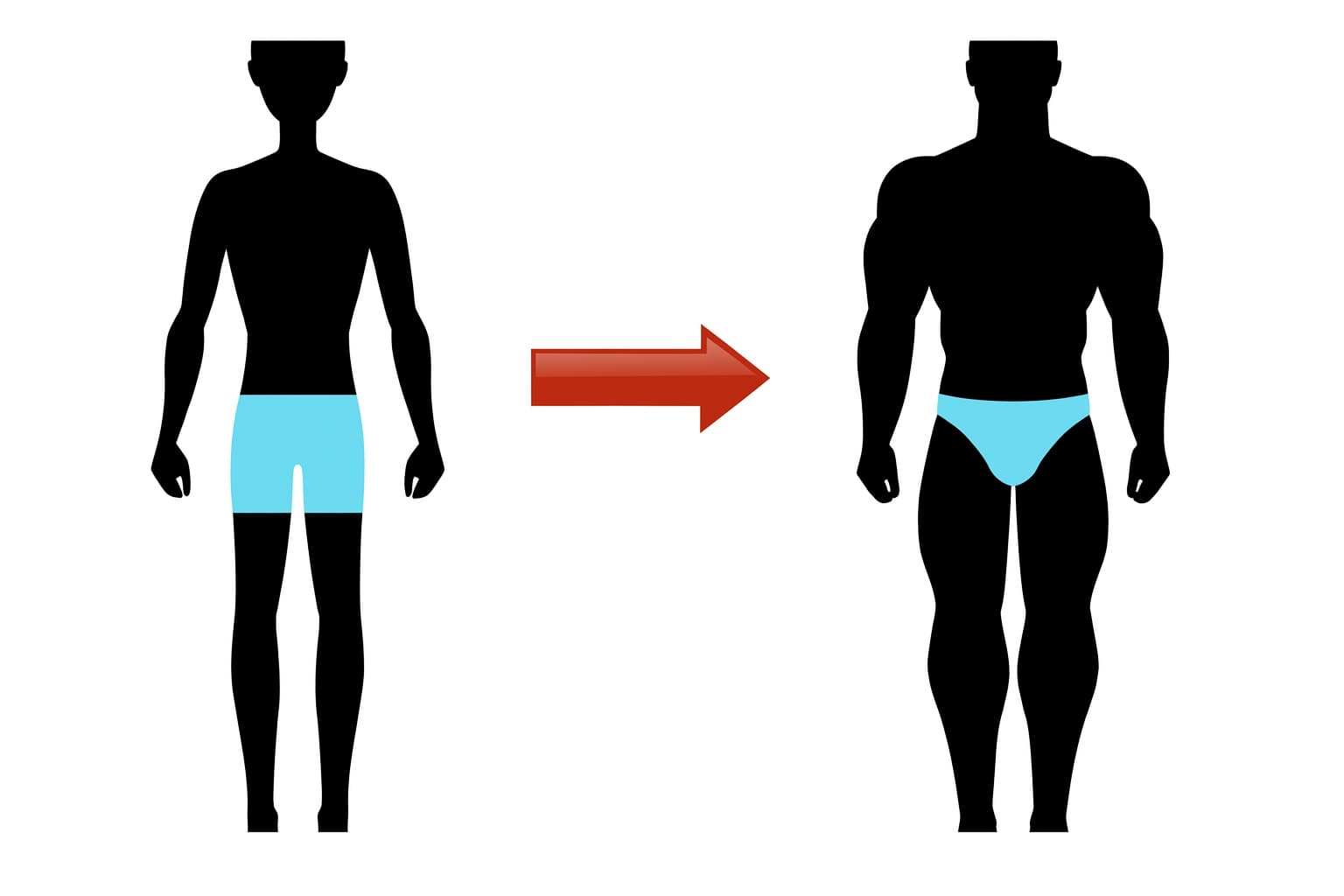 Как правильно и без вреда набрать вес