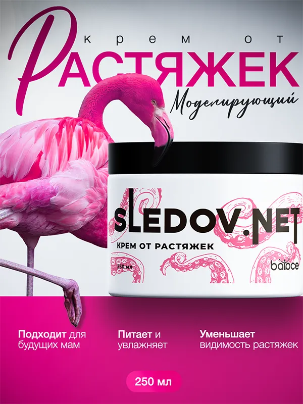 Sledov net