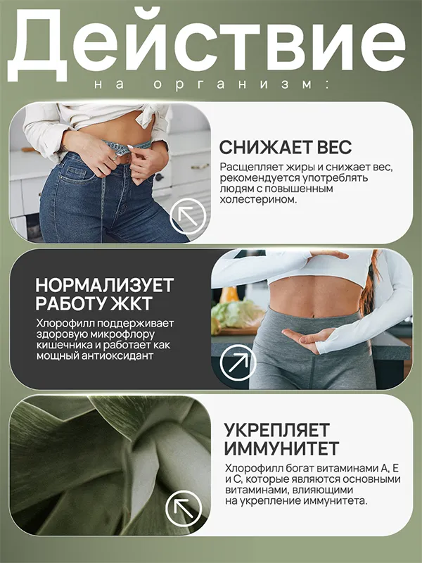 Хлорофилл