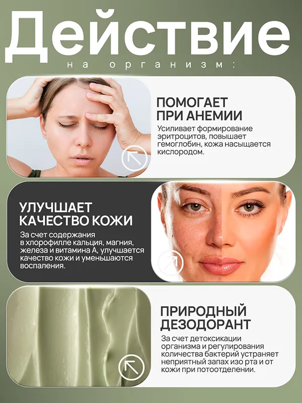 Хлорофилл