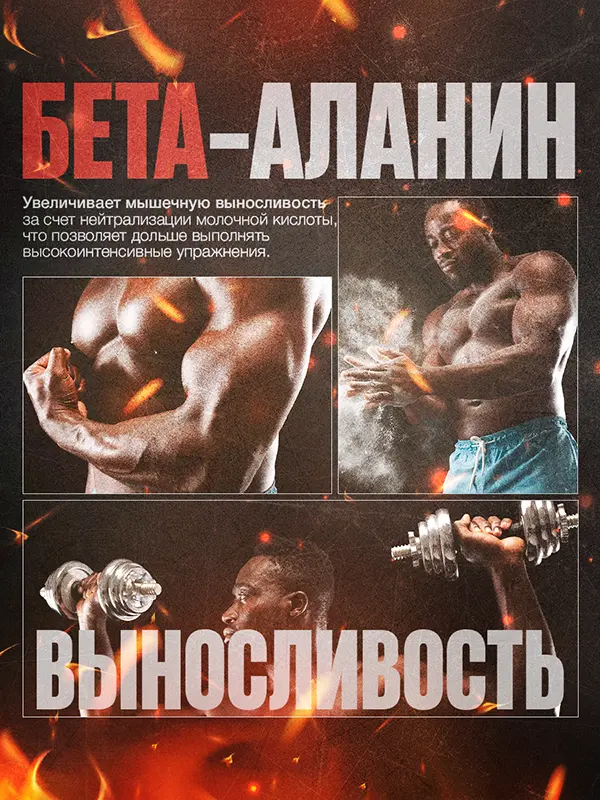 ENERGY MUSCLE