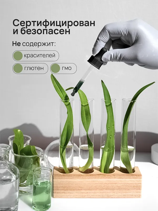 Хлорофилл