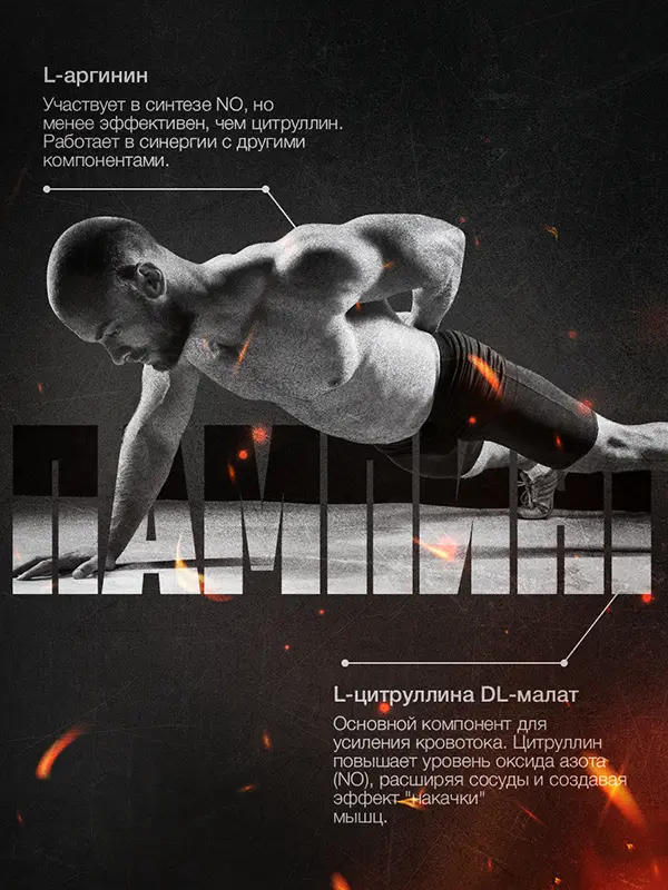 ENERGY MUSCLE